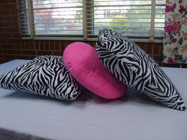 Nita's Pillows 2