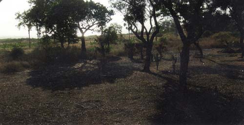 Toubakolong Partnership Grounds