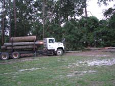 Rodney, Owner/Operator in The short-log truck
