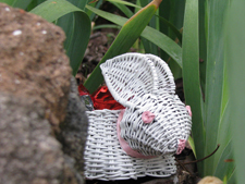 Easter rabbit 2011 Easter rabbit 2011