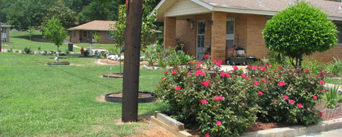 gardens created by local residents