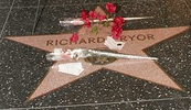 Hollywood Star - Richard Pryor