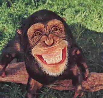 henry louis gates jr the signifying monkey henry louis gates jr the signifying monkey