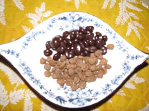 Chocolate Covered Cranberries and Tiger Nuts Chocolate Covered Cranberries and Tiger Nuts