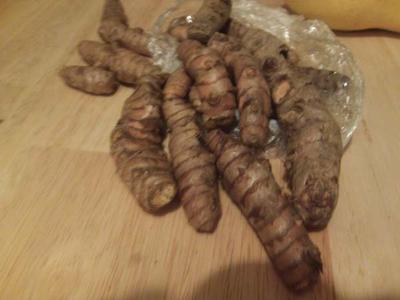 Yellow Turmeric roots