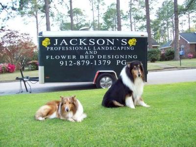 Charles Jackson's Landscaping and Flower Bed Designing