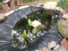 Pond finished