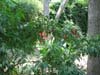 Home, a wonder of nature