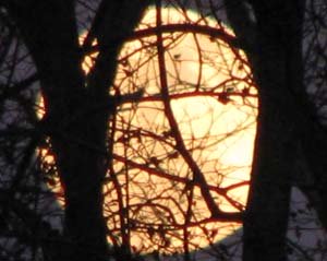Full  Moon image, 17 Februrary 11