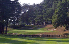 Pierce County Golf Course Pierce County Golf Course