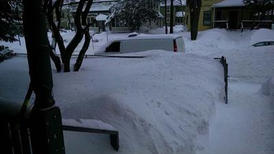 Front yard in Boston, MA